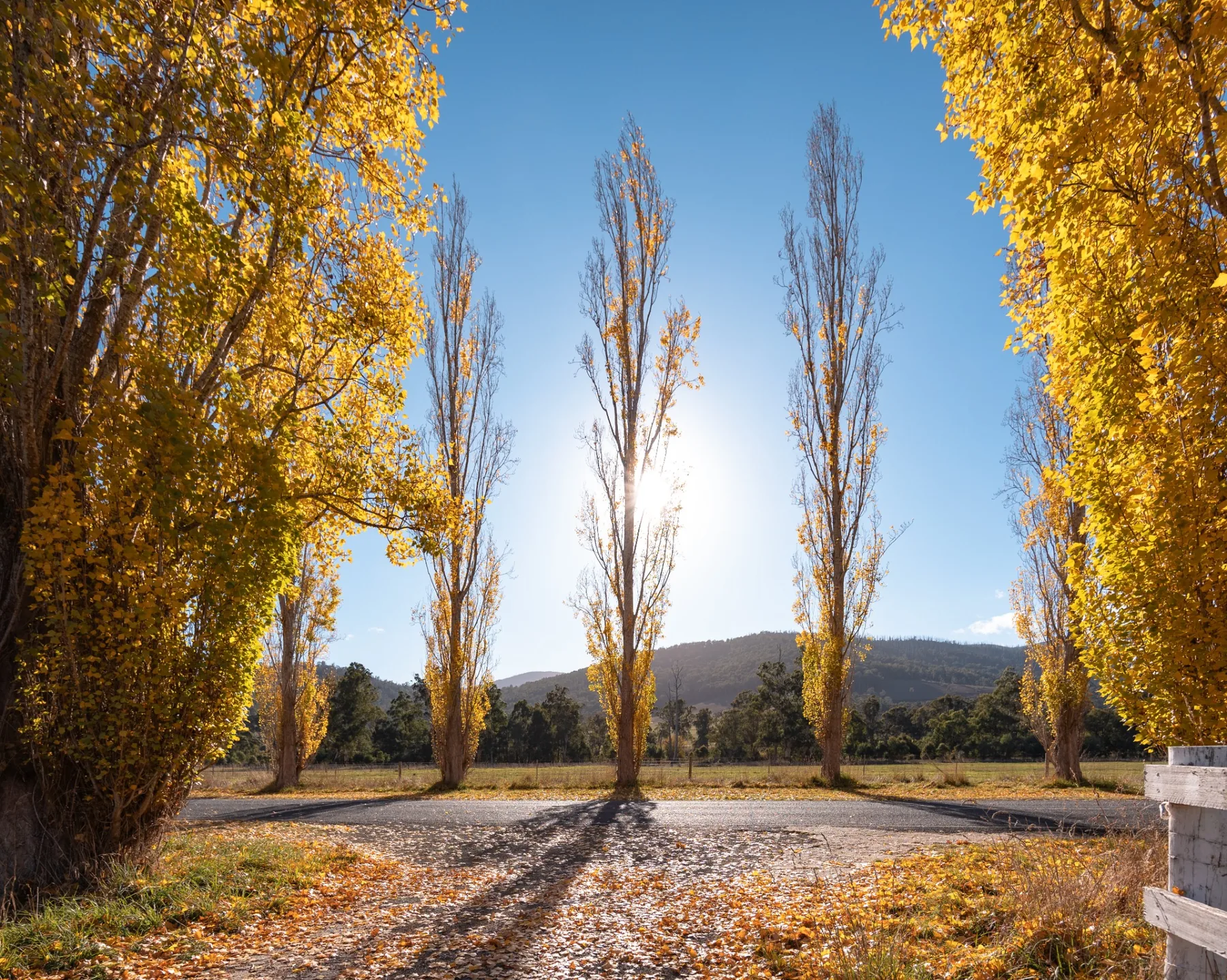 Autumn road in Marysville region
