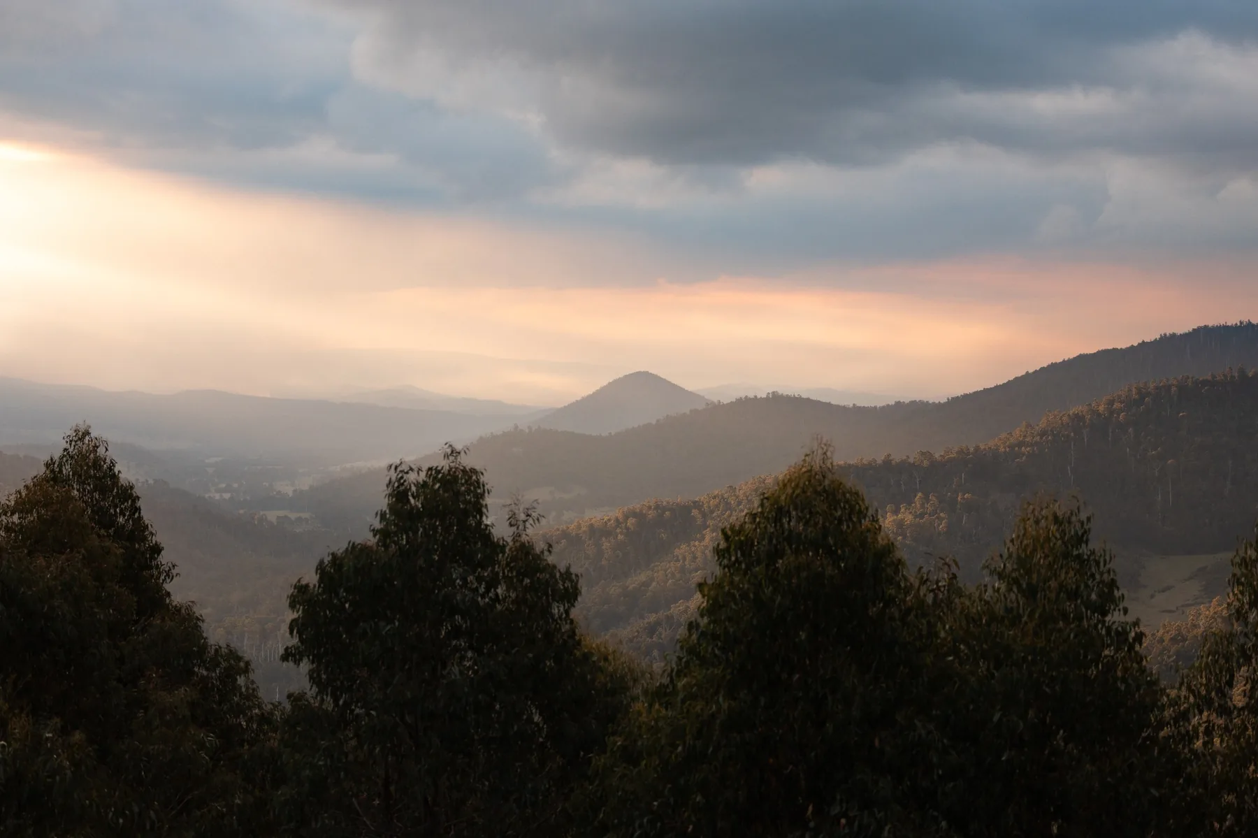 Country road lined with autumn trees near Marysville