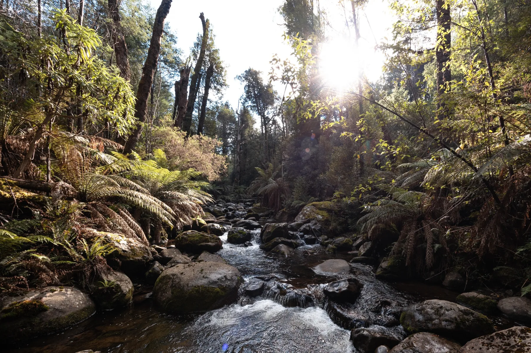 Sunlit creek and rocks in Marysville region