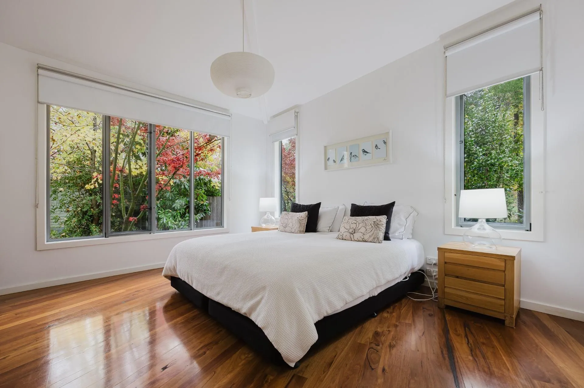 Kingfisher room detail