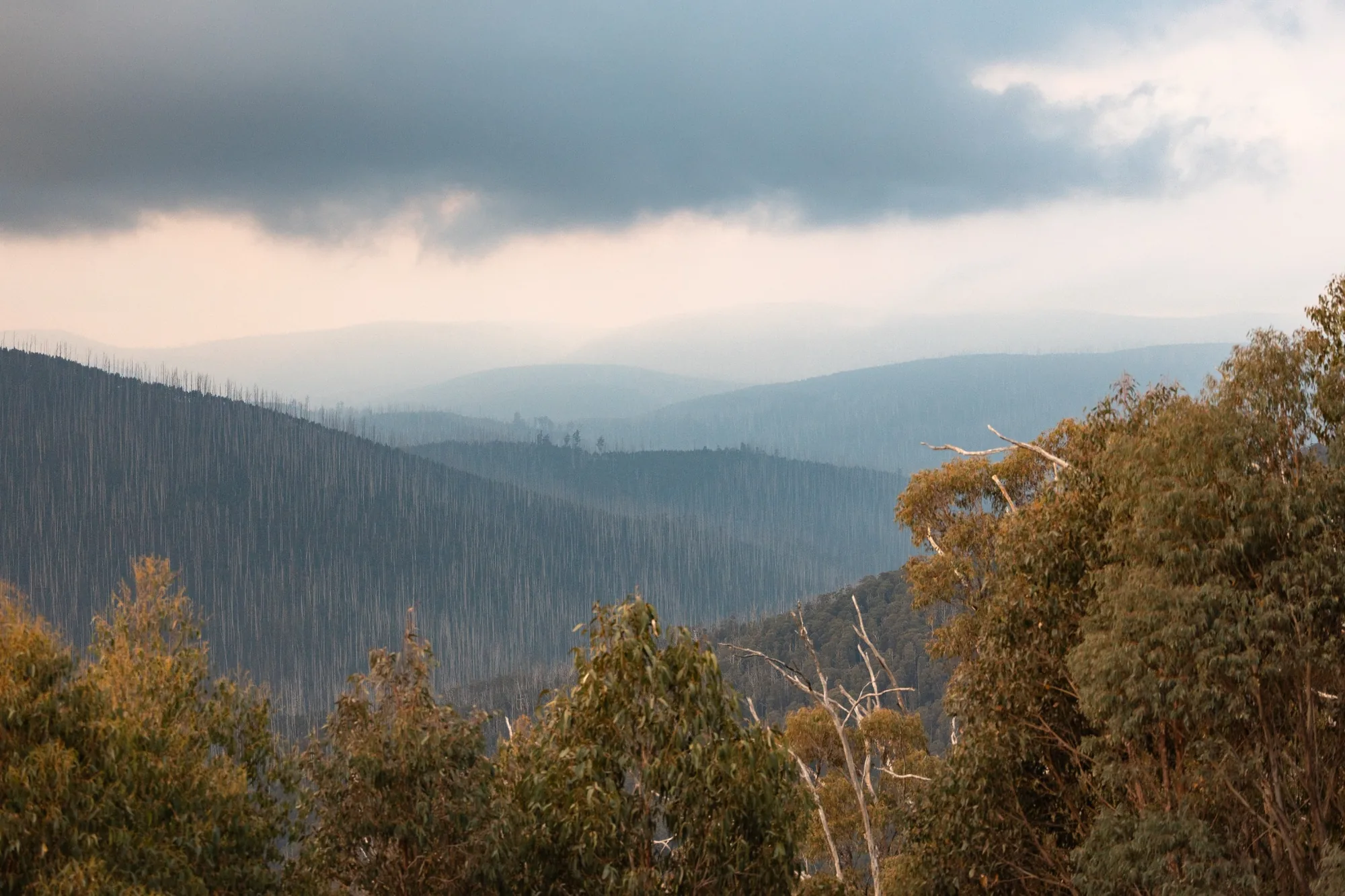 Mountain valley scenery near Marysville Victoria