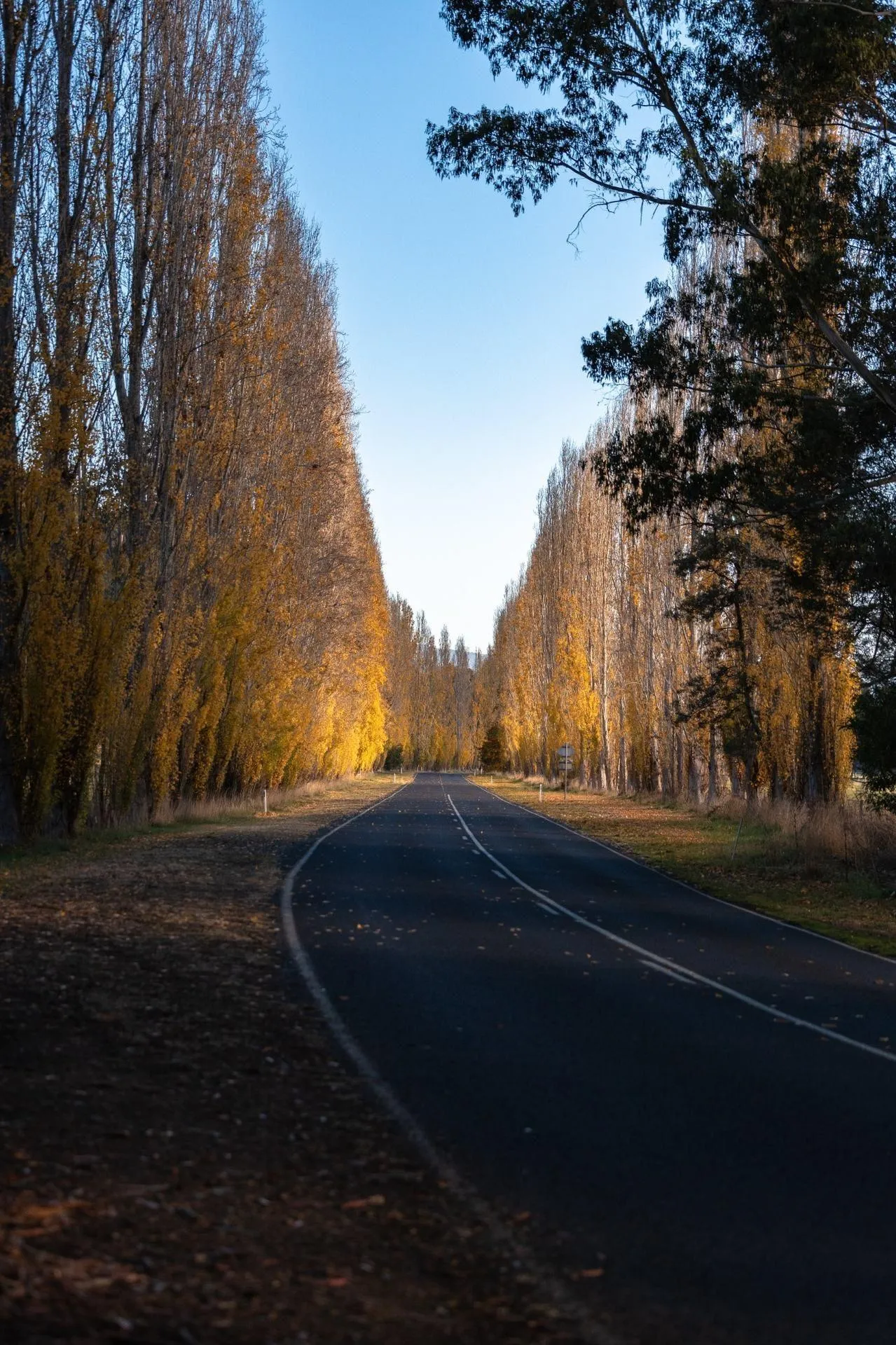 Things to do in Marysville including waterfalls and scenic local attractions