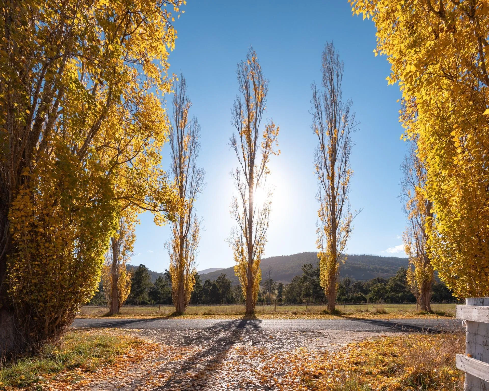 Dalrymples Guest Cottages