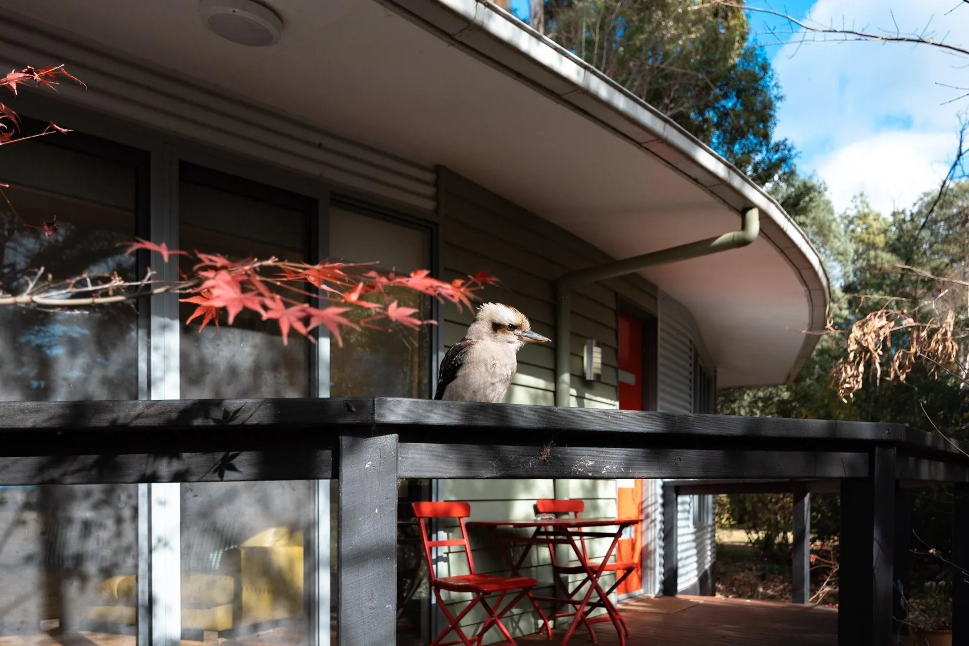 Dalrymples Guest Cottages