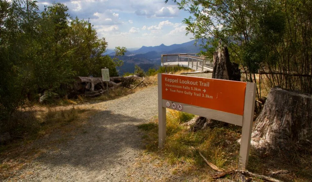 Forest track leading toward Keppel Lookout