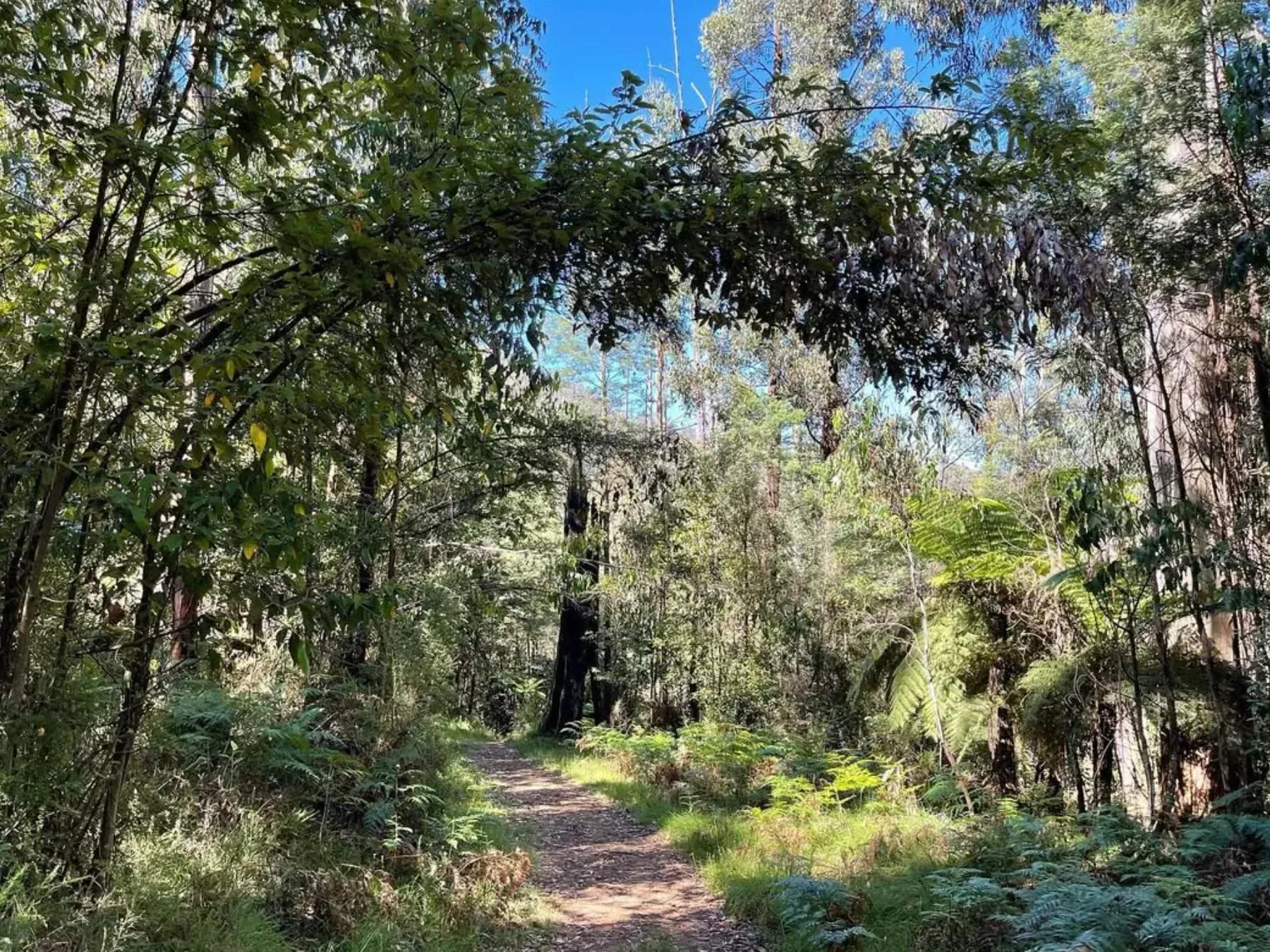 Keppel Lookout trail sign near the viewing platform
