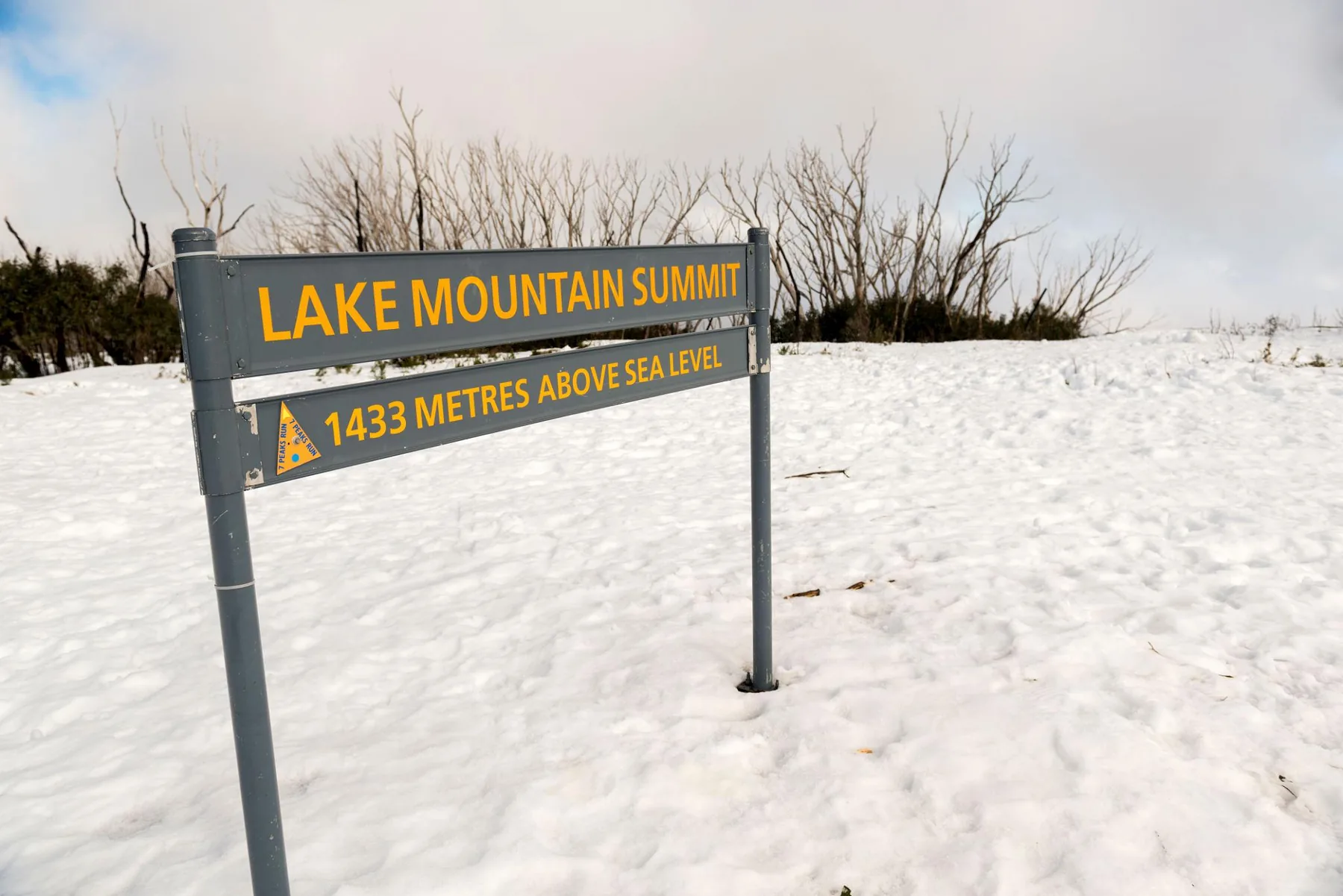 Lake Mountain summit sign above snow