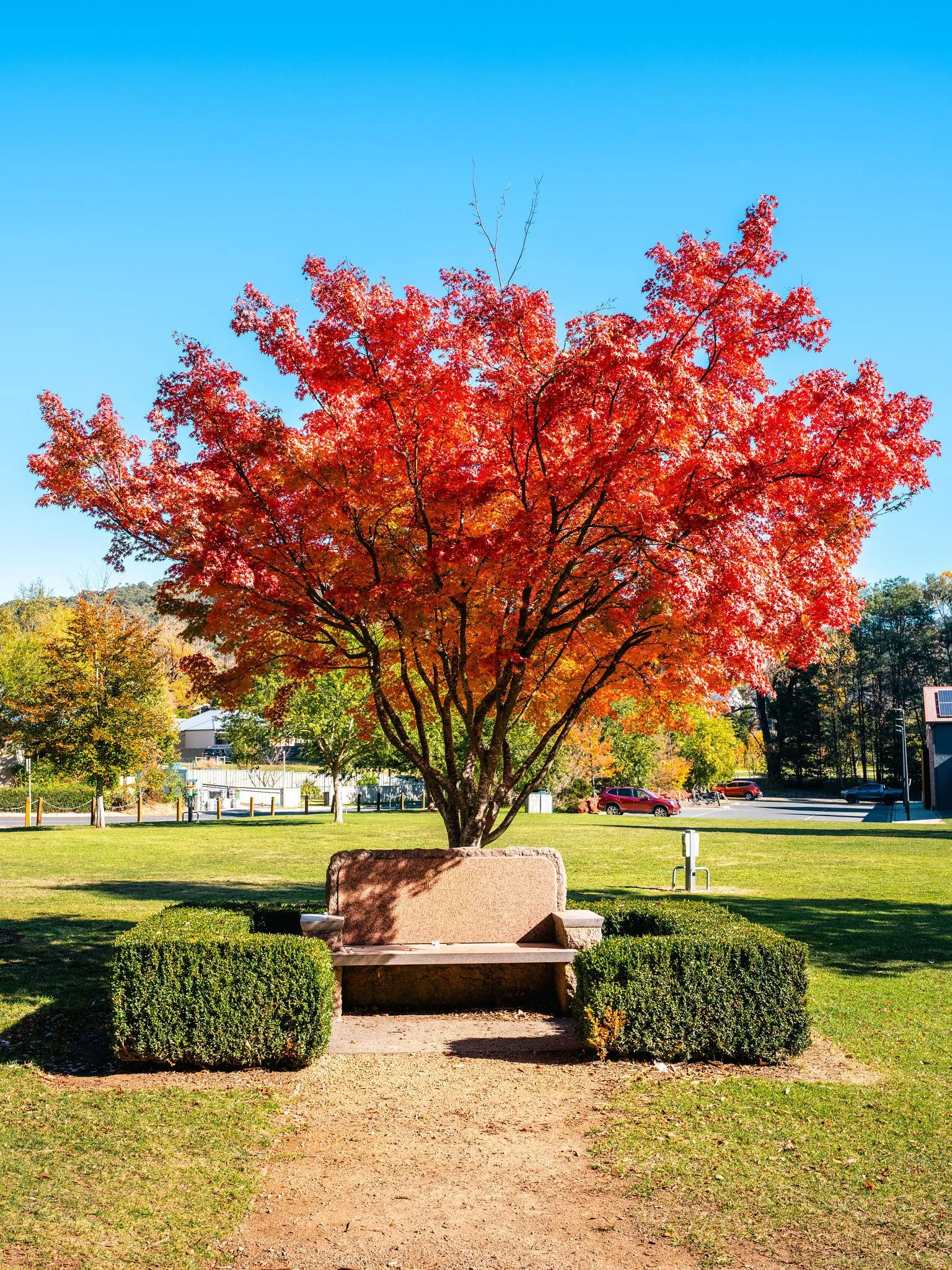 Marysville Gardens gazebo framed by autumn colour