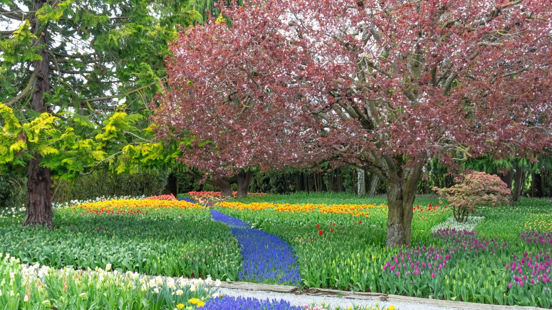 Autumn walking path through Marysville Gardens