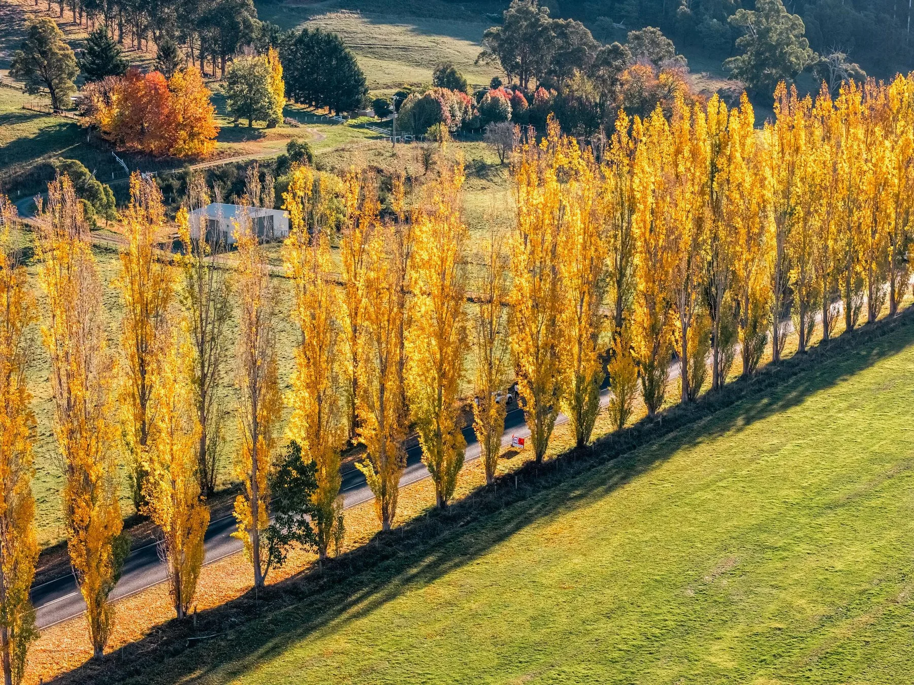 Creek flowing through Marysville Gardens in autumn