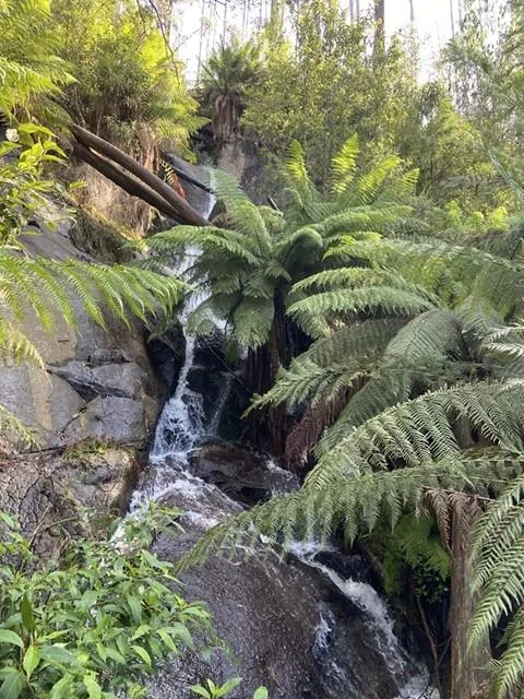Creek and mossy rocks at Phantom Falls