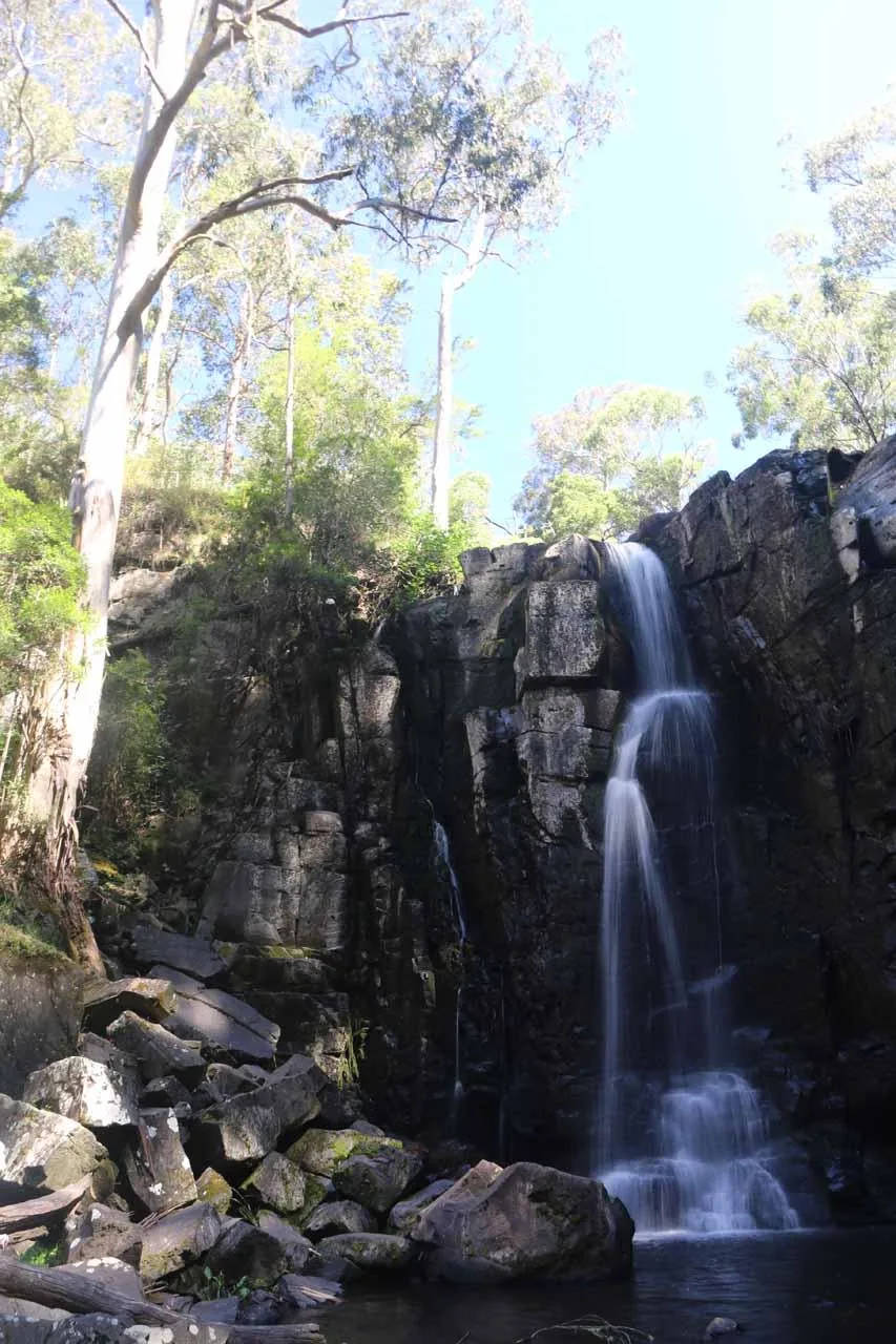 Viewing rail beside Phantom Falls and fern gully