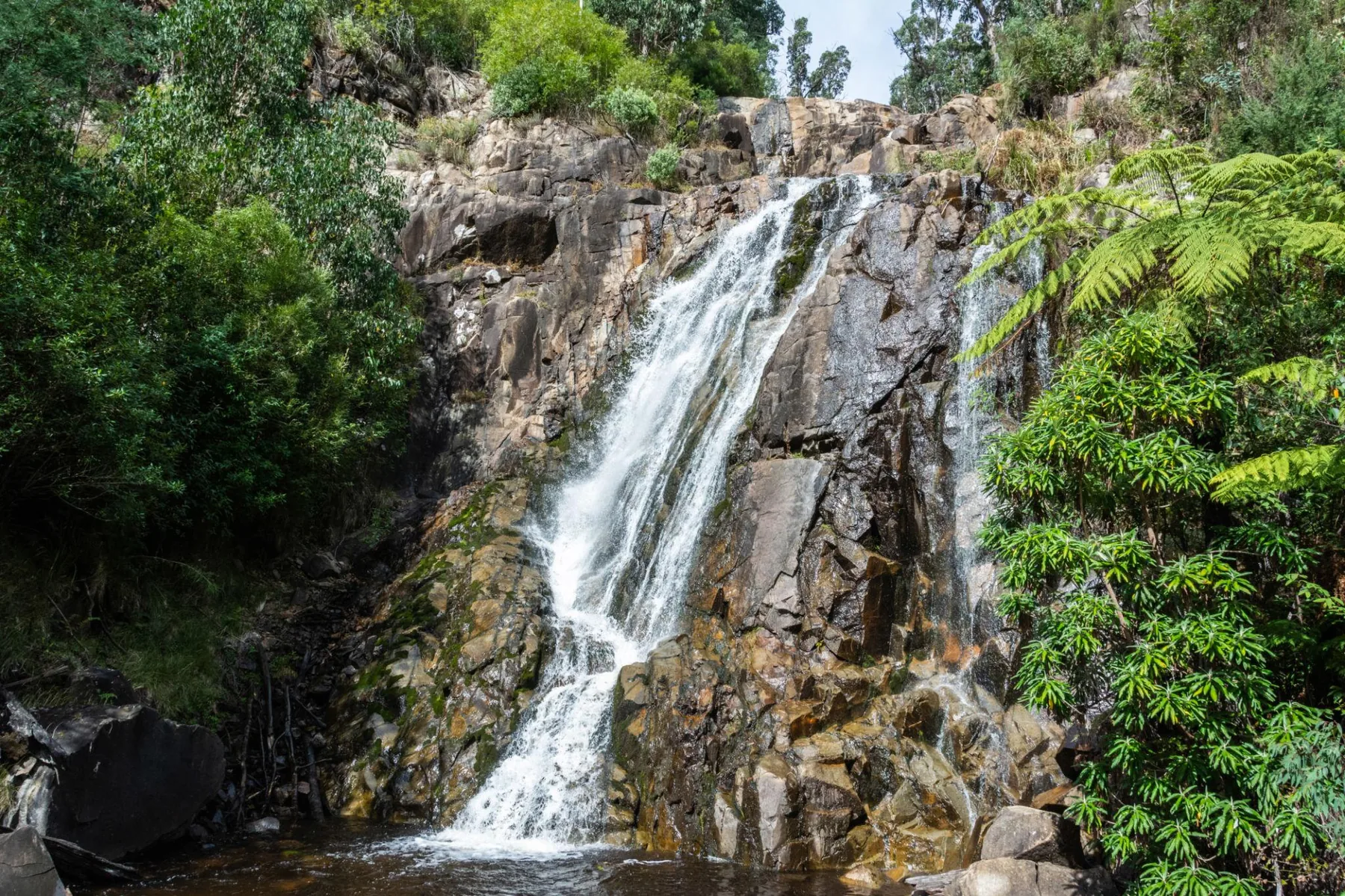 Creek and boulders below Steavenson Falls in Marysville