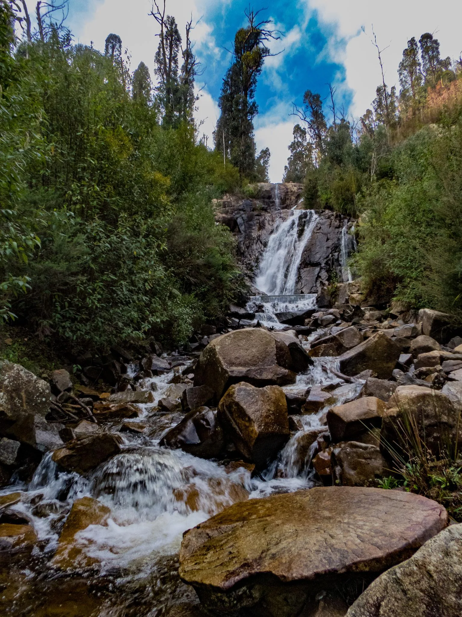 Steavenson Falls main cascade in Marysville Victoria