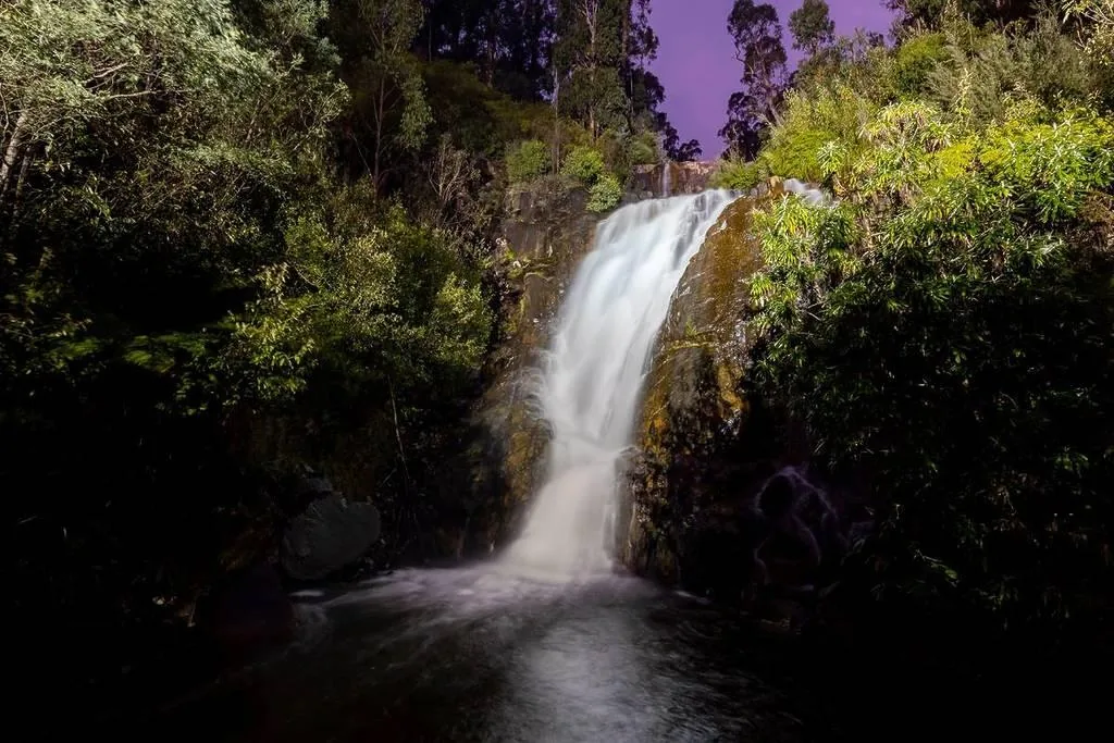 Steavenson Falls at night with illuminated cascade