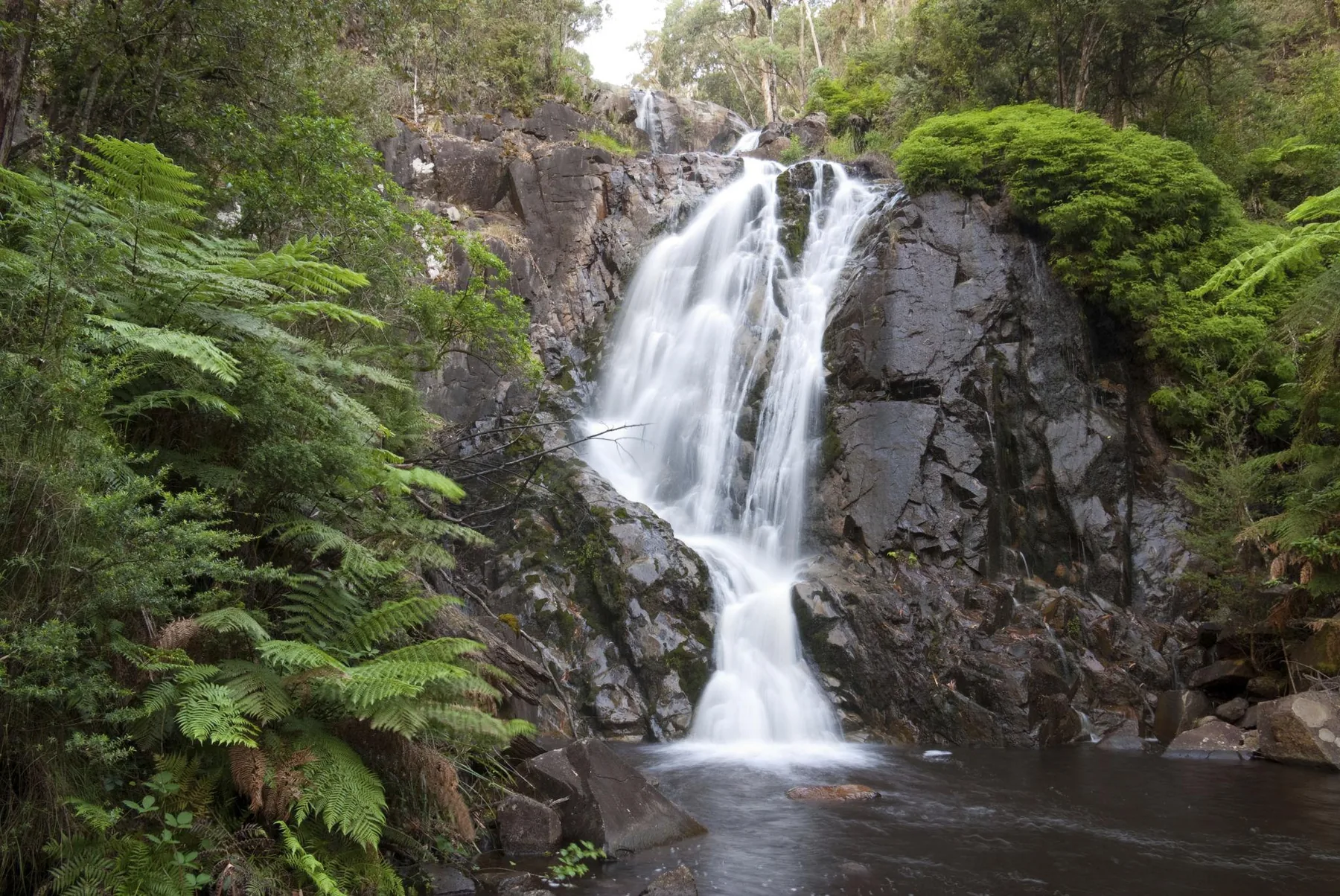 Steavenson Falls creek and forest scenery near Marysville VIC