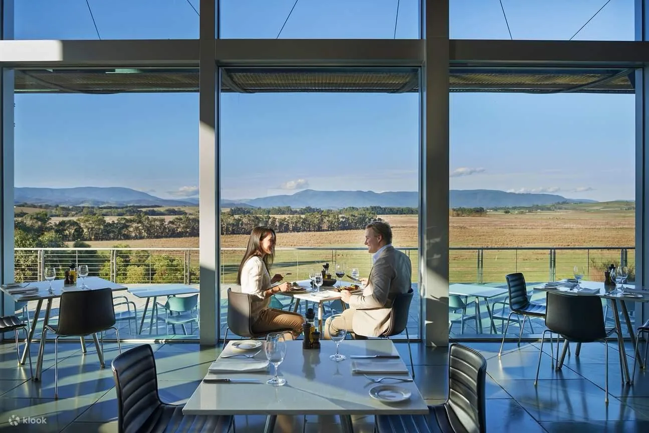 Wine tasting deck overlooking Yarra Valley vineyards