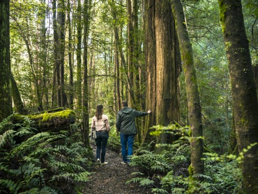Walks around Marysville