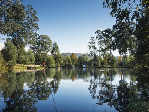 Gallipoli Park - Marysville